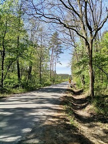 Utrudnienia w ciągu ul. Wyszyńskiego w Babicach i Brzozowej w Mętkowie